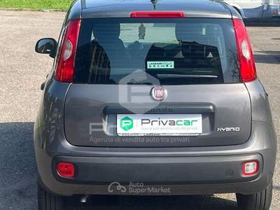 Fiat Panda FIAT Panda 1.0 FireFly S&S Hybrid Grigio usata Opera