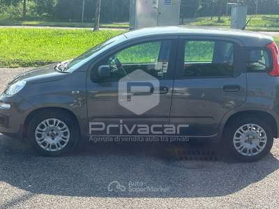 Fiat Panda FIAT Panda 1.0 FireFly S&S Hybrid Grigio usata Opera