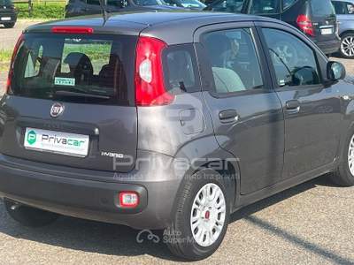 Fiat Panda FIAT Panda 1.0 FireFly S&S Hybrid Grigio usata Opera