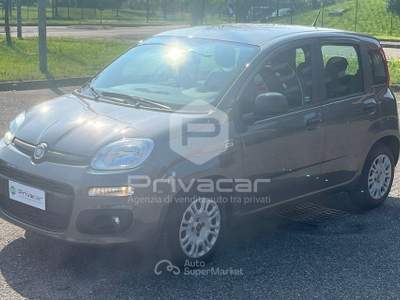 Fiat Panda FIAT Panda 1.0 FireFly S&S Hybrid Grigio usata Opera