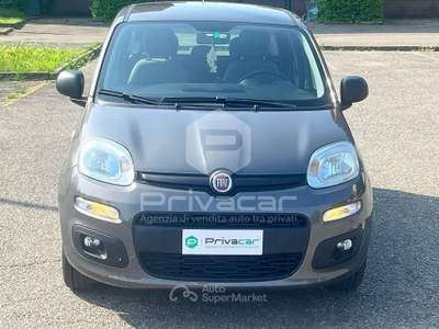 Fiat Panda FIAT Panda 1.0 FireFly S&S Hybrid Grigio usata Opera