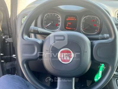 Fiat Panda FIAT Panda 1.0 FireFly S&S Hybrid Grigio usata Opera