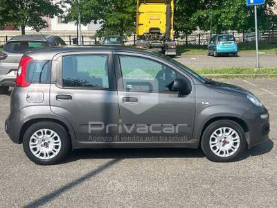 Fiat Panda FIAT Panda 1.0 FireFly S&S Hybrid Grigio usata Opera