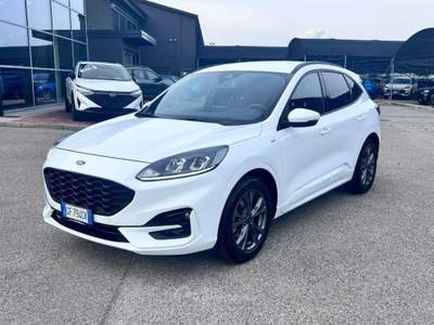 Ford Kuga 1.5 EcoBlue 120 CV aut. 2WD ST-Line Bianco usata Pieve di Soligo