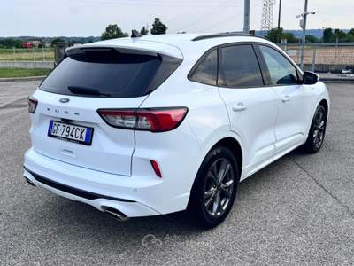 Ford Kuga 1.5 EcoBlue 120 CV aut. 2WD ST-Line Bianco usata Pieve di Soligo