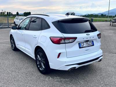 Ford Kuga 1.5 EcoBlue 120 CV aut. 2WD ST-Line Bianco usata Pieve di Soligo