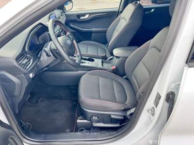 Ford Kuga 1.5 EcoBlue 120 CV aut. 2WD ST-Line Bianco usata Pieve di Soligo