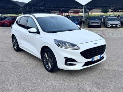 Ford Kuga 1.5 EcoBlue 120 CV aut. 2WD ST-Line Bianco usata Pieve di Soligo