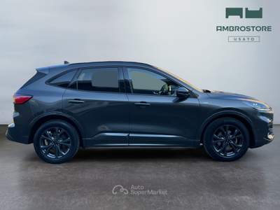 Ford Kuga  - kuga 1.5 ecoblue st-line 2wd 120cv auto Grigio usata Segrate
