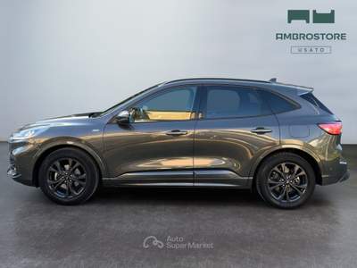 Ford Kuga  - kuga 1.5 ecoblue st-line 2wd 120cv auto Grigio usata Segrate