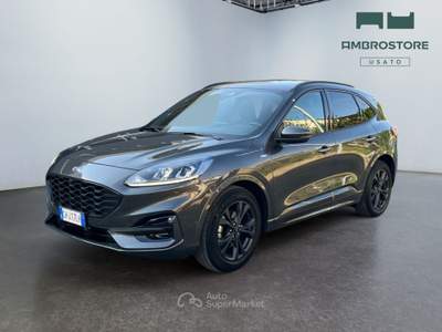 Ford Kuga  - kuga 1.5 ecoblue st-line 2wd 120cv auto Grigio usata Segrate
