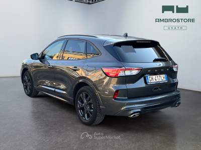 Ford Kuga  - kuga 1.5 ecoblue st-line 2wd 120cv auto Grigio usata Segrate