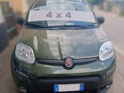 Fiat Panda Condizioni ottime ,cliente conosciuto. Verde usata IMPRUNETA