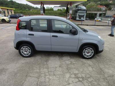 Fiat Panda 1.2 easypower Gpl s GARANTITA FULL OPTIONAL Grigio usata Ariano Irpino