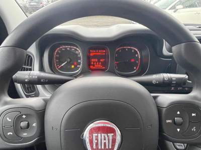 Fiat Panda 1.0 FireFly S&S Hybrid City Life Full Opt Grigio usata Fiumicino