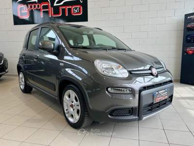 Fiat Panda 1.0 FireFly S&S Hybrid City Life *NEOPATENTATI* Grigio usata Cassina de' Pecchi