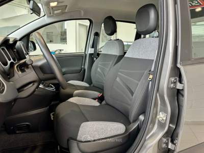 Fiat Panda 1.0 FireFly S&S Hybrid City Life *NEOPATENTATI* Grigio usata Cassina de' Pecchi