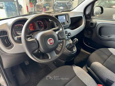Fiat Panda 1.0 FireFly S&S Hybrid City Life *NEOPATENTATI* Grigio usata Cassina de' Pecchi