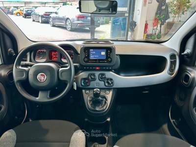 Fiat Panda 1.0 FireFly S&S Hybrid City Life *NEOPATENTATI* Grigio usata Cassina de' Pecchi