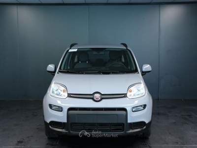 Fiat Panda 1.0 FireFly S&S Hybrid City Life Grigio usata Arsiè