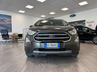 Ford EcoSport 1.0 EcoBoost 125 CV Start&Stop Titanium Grigio usata Massarosa