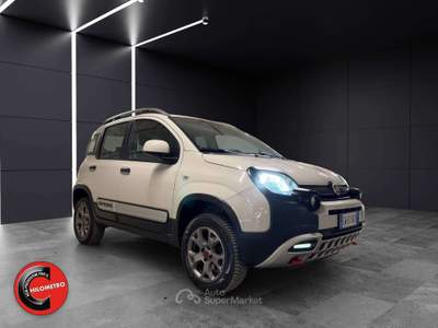 Fiat Panda LEGGERE DESCRIZIONE 4x4 1.3 mjt 16v Cross 4x4 Beige usata Valenza