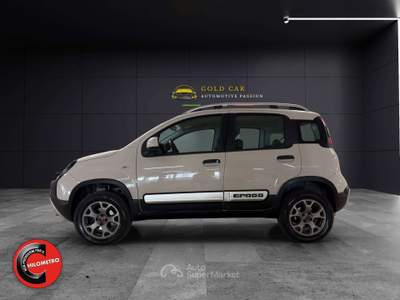 Fiat Panda LEGGERE DESCRIZIONE 4x4 1.3 mjt 16v Cross 4x4 Beige usata Valenza