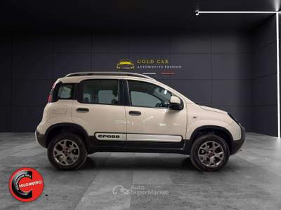 Fiat Panda LEGGERE DESCRIZIONE 4x4 1.3 mjt 16v Cross 4x4 Beige usata Valenza
