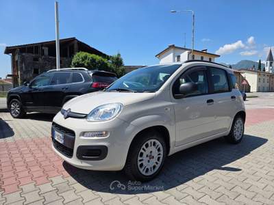 Fiat Panda Pop Beige usata Gemona del Friuli