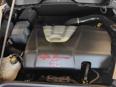 Alfa Romeo 4C 4C Coupe 1750 tbi 240cv tct Bianco usata Lavis