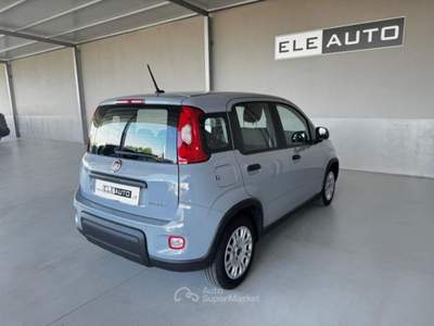 Fiat Panda 1.0 FireFly S&S Hybrid - Neopatentati Bianco usata Sedriano