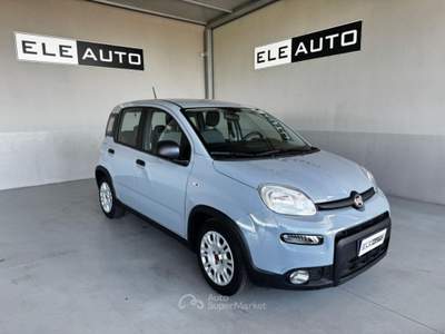 Fiat Panda 1.0 FireFly S&S Hybrid - Neopatentati Bianco usata Sedriano