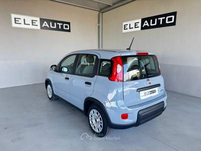Fiat Panda 1.0 FireFly S&S Hybrid - Neopatentati Bianco usata Sedriano