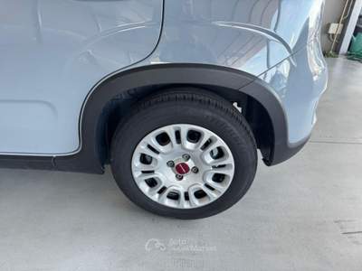 Fiat Panda 1.0 FireFly S&S Hybrid - Neopatentati Bianco usata Sedriano