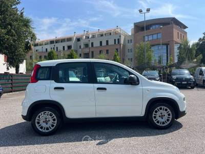 Fiat Panda 1.0 FireFly S&S Hybrid 70CV UNICO PROPRIETARIO Bianco usata Portogruaro