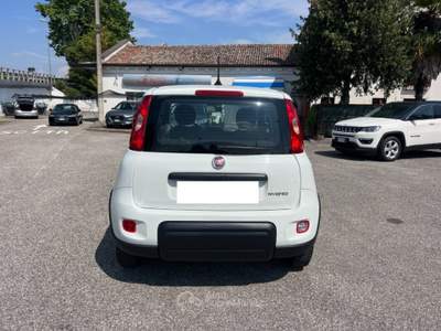 Fiat Panda 1.0 FireFly S&S Hybrid 70CV UNICO PROPRIETARIO Bianco usata Portogruaro