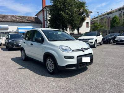 Fiat Panda 1.0 FireFly S&S Hybrid 70CV UNICO PROPRIETARIO Bianco usata Portogruaro