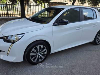 Peugeot 208 Peugeot 208 BlueHDi 100   5 porte Active Bianco usata Deruta