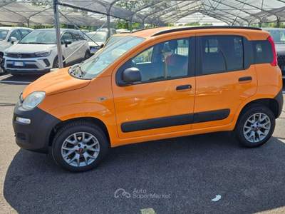 Fiat Panda Panda 1.3 mjt  VAN 16v 4x4 - FM622YZ Arancione usata Basiliano