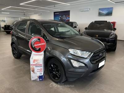 Ford EcoSport 1.0 EcoBoost 100 CV Sport Grigio usata Alcamo