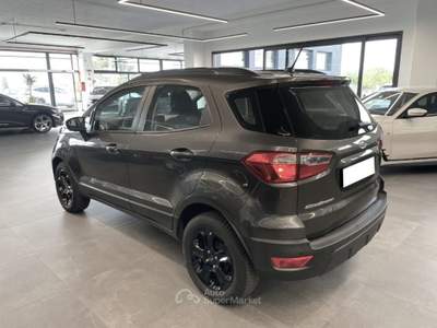 Ford EcoSport 1.0 EcoBoost 100 CV Sport Grigio usata Alcamo