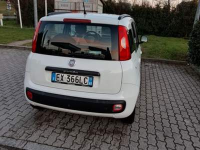 Fiat Panda Vendo fiat Panda 1.2 gpl impianto nuovo Bianco usata FIGLINE E INCISA VALDARNO