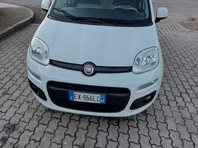 Fiat Panda Vendo fiat Panda 1.2 gpl impianto nuovo Bianco usata FIGLINE E INCISA VALDARNO