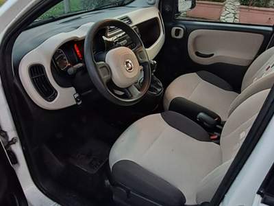 Fiat Panda Vendo fiat Panda 1.2 gpl impianto nuovo Bianco usata FIGLINE E INCISA VALDARNO