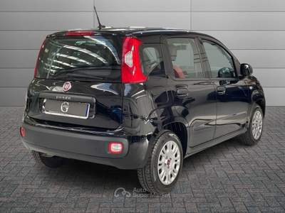 Fiat Panda  - panda 1.2 easy s&s 69cv my19 Nero usata La Spezia