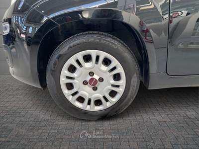 Fiat Panda  - panda 1.2 easy s&s 69cv my19 Nero usata La Spezia