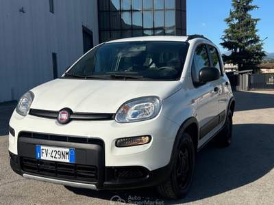 Fiat Panda fiat panda 4x4 Bianco usata Ferentino