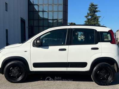 Fiat Panda fiat panda 4x4 Bianco usata Ferentino