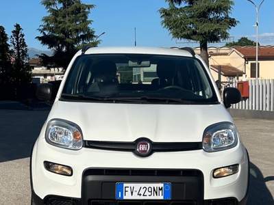 Fiat Panda fiat panda 4x4 Bianco usata Ferentino