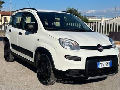 Fiat Panda fiat panda 4x4 Bianco usata Ferentino